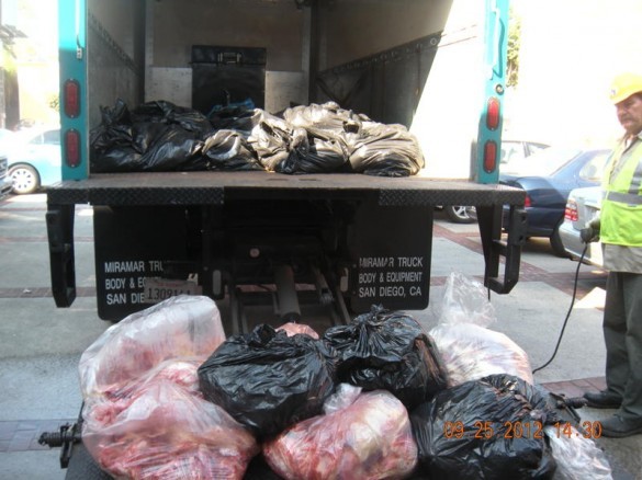 garbage-bags-containing-22donated22-chickens